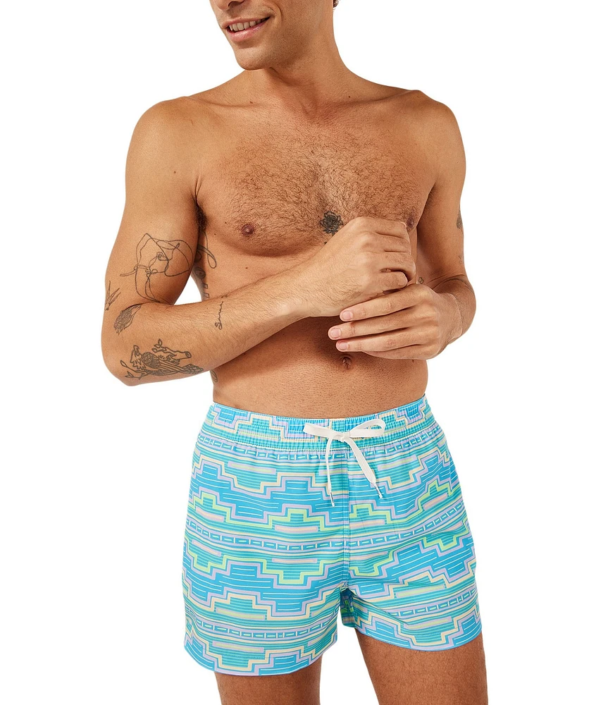 Chubbies Family Matching Classic 5.5#double; Inseam Desert Dawns Swim Trunks