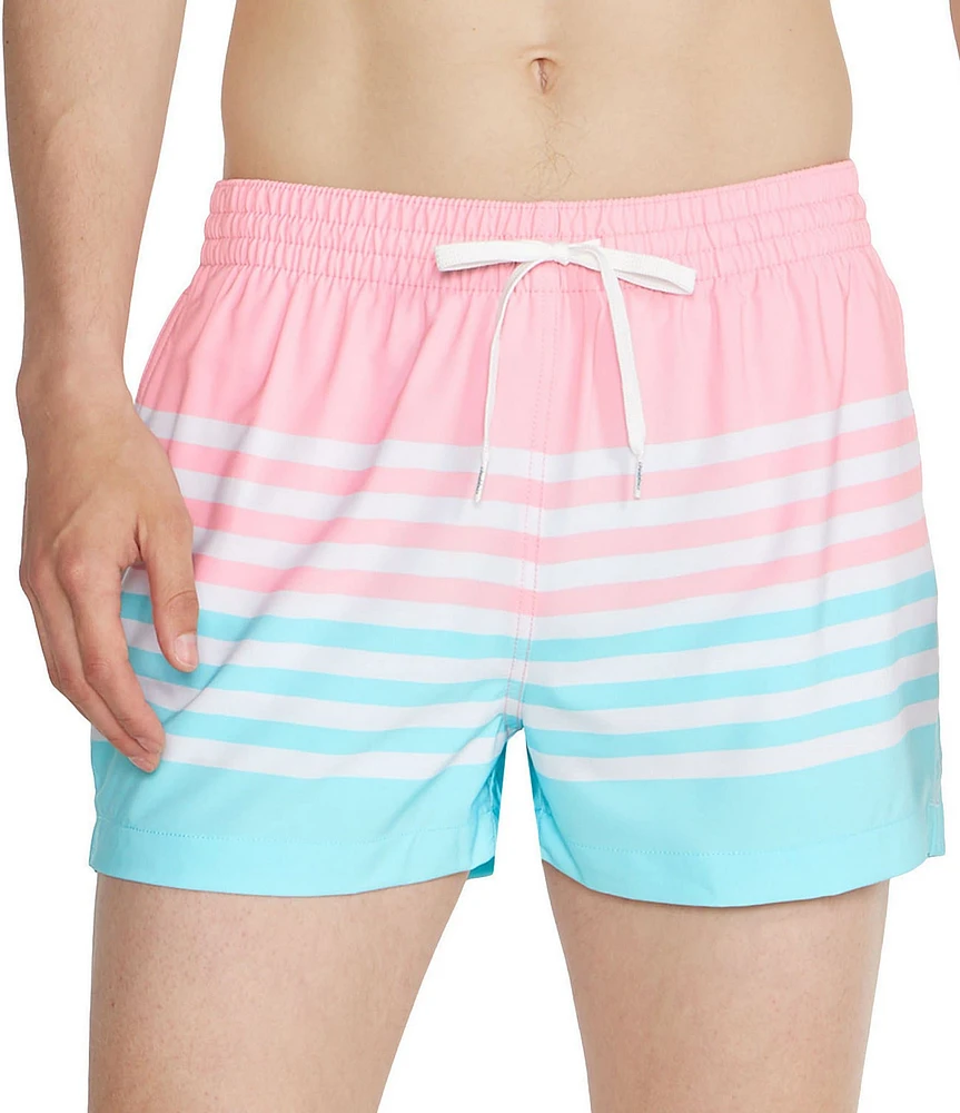 Chubbies The On the Horizons 4#double; Lined Classic Stretch Trunks