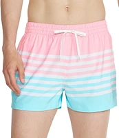 Chubbies The On the Horizons 4#double; Lined Classic Stretch Trunks