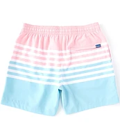 Chubbies The On The Horizons 5.5#double; Inseam Stretch Swim Trunks