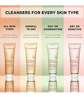 Clarins Hydrating Gentle Foaming Face Cleanser with Aloe Vera