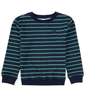 Class Club Big Boys 8-20 Long Sleeve Stripe Crew Neck Pullover