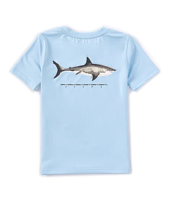 Class Club Little Boys 2T-7 Short Sleeve Shark Screen Print Rashguard