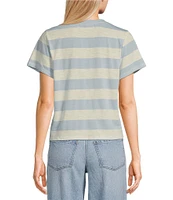 Copper Key Stripe Short Sleeve Boxy T-Shirt