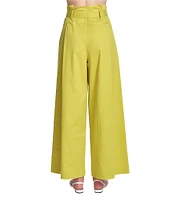 COREY LYNN CALTER Tony Paperbag Waist Wide Leg Pants