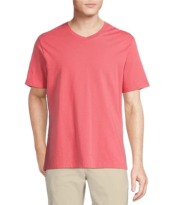 Cremieux Blue Label Jersey Knit Short Sleeve V-Neck T-Shirt