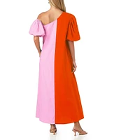 CROSBY by Mollie Burch Lovett Asymmetrical Sleeve Colorblock Maxi Dress