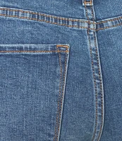 Dear John Julian Stretch Denim High Rise Shorts