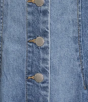 Dear John Sabrina Denim V-Neck Sleeveless Button Down Dress