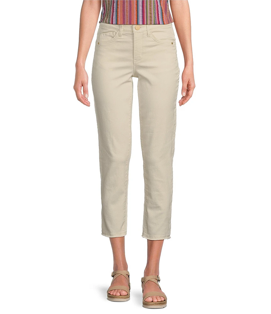 Democracy #double;Ab#double;solution® Embroidered Slim Straight Leg High Rise Cropped Jeans