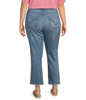 Democracy Plus Size #double;Ab#double;solution® Slim Straight High Rise Embroidered Cascading-D Back Pocket Jeans