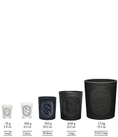 DIPTYQUE Baies (Berries) Classic Candle
