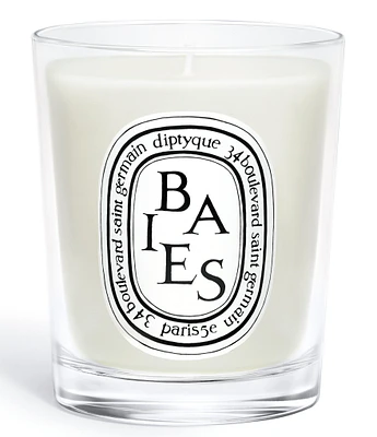 DIPTYQUE Baies (Berries) Classic Candle