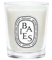 DIPTYQUE Baies (Berries) Classic Candle