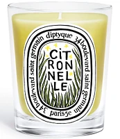 DIPTYQUE Limited Edition Citronnelle (Lemongrass) Classic Candle