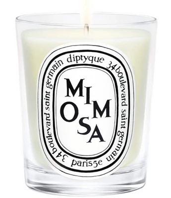 DIPTYQUE Mimosa Candle