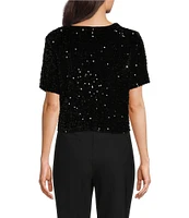 DKNY by Donna Karan Sequined Stretch Velvet Crew Neck Short Sleeve T-Shirt