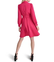 DKNY by Donna Karan Collared Surplice V-Neckl Long Sleeve Dress