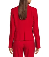 DKNY by Donna Karan Coordinating Notch Collar Long Sleeve Two Button Blazer