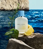 Dolce & Gabbana Light Blue Pour Homme Eau de Toilette