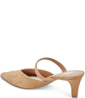 Dolce Vita Kanika Suede Pointed Toe Dress Mules