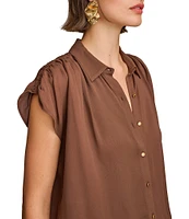 Donna Karan Collared Neckline Ruched Cap Sleeve Blouse