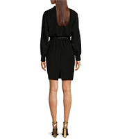 Donna Karan V-Neck Long Sleeve Belted Blouson Dress