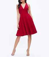 Dress the Population Catalina Crepe V-Neck Sleeveless A-Line Dress