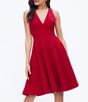 Dress the Population Catalina Crepe V-Neck Sleeveless A-Line Dress