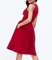 Dress the Population Catalina Crepe V-Neck Sleeveless A-Line Dress