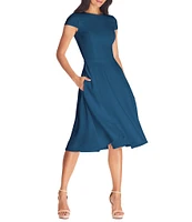 Dress the Population Livia Boat Neck Cap Sleeve Pleated Side Pocket Dress