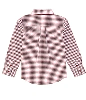 Edgehill Collection x Darby Fallon Clark Little Boys 2T-7 Wright Woven Gingham Button-Front Shirt