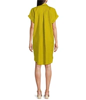 Eileen Fisher Organic Linen Notch Collar Cap Sleeve Shirtdress