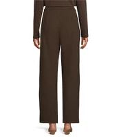 Eileen Fisher Petite Size Washable Flex Ponte Double Knit Straight Leg Pull-On Pants