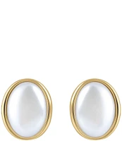 Electric Picks Mist Stud Earrings
