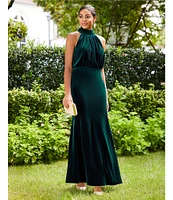 Eliza J Mock Neck Sleeveless Velvet Blouson Gown