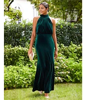 Eliza J Mock Neck Sleeveless Velvet Blouson Gown