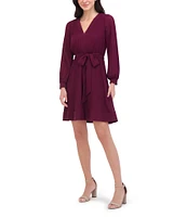 Eliza J Pleated Chiffon V-Neck Long Sleeve Tie Waist Mini Dress