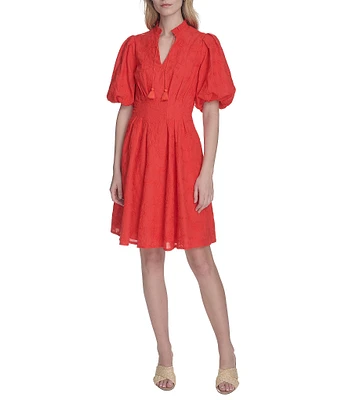 Eliza J Ruffle Stand Collar Short Puff Sleeve Emrboidered Cotton Fit & Flare Dress