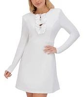 Eliza J Scuba Crepe Crew Neck Long Sleeve Bow Detail A-Line Dress