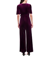 Eliza J Velvet V-Neck Short Sleeve Tie Waist Wide Leg Jumpsuit