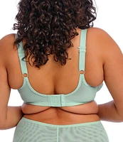 Elomi Brianna Padded Half Cup Scallop Lace Overlay Push-Up Bra