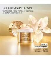 Estee Lauder The Secret of Infinite Beauty Luxury Re-Nutriv Skincare and Makeup Gift Set