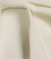 Evolutionary Strapless Bow Top