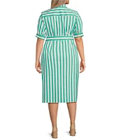 Foxcroft Plus Size Esther Stripe Point Collar Elbow Sleeve Belted Shirt Dress