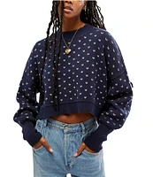 Free People Easy Street Patterned Crew Neck Long Sleeve Cropped Sweater