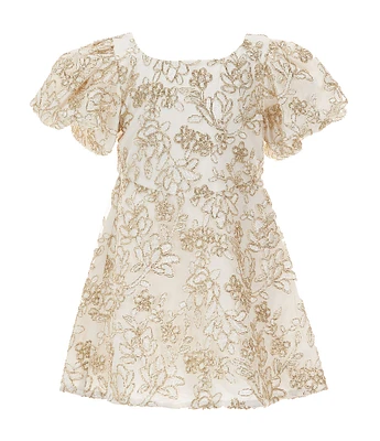 GB Social Little Girls 2-6X Puff Sleeve Floral Embroidered Mesh Dress