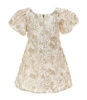 GB Social Little Girls 2-6X Puff Sleeve Floral Embroidered Mesh Dress