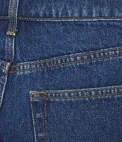 Gianni Bini Madilyn High Rise Denim Shorts