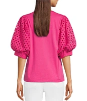 Gibson & Latimer Knit Contrast Eyelet Crew Neck Short 3/4 Balloon Sleeve Top